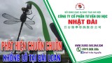 Chuồn chuồn khổng lồ tại Đài Loan | Du Học Đài Loan